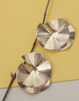 Clam Style Earrings