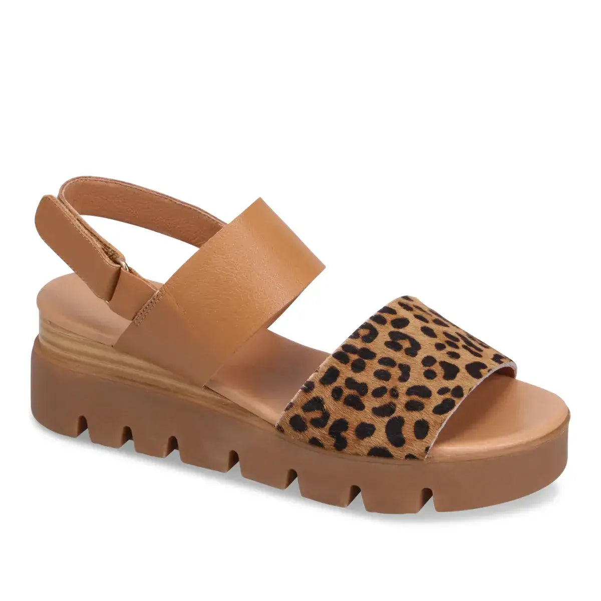 Django &amp; Juliette Runar Leopard and Tan