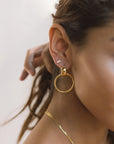 Ollie Hoops Gold or Rhodium