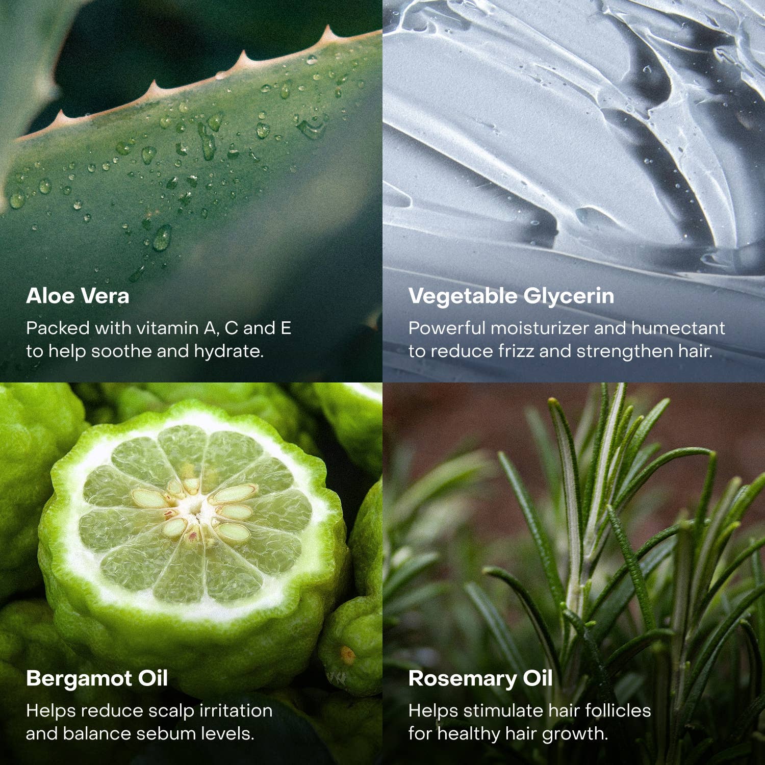 The Haircare Travel Duo